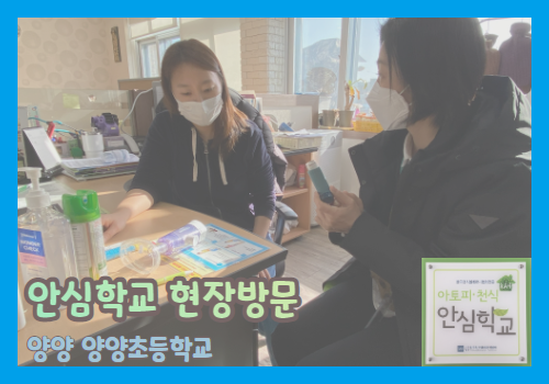 갤러리